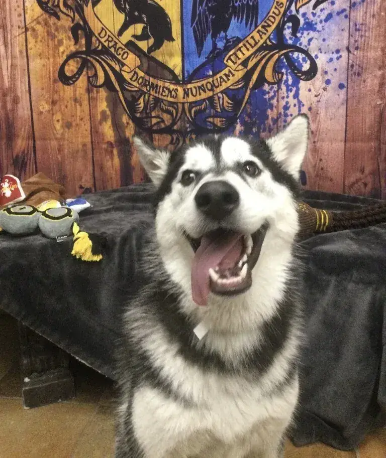 That unmistakable Cooper smile.