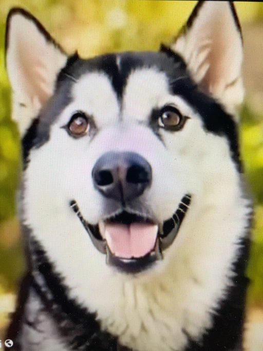 Cooper smiling in the Happy Face mini movie