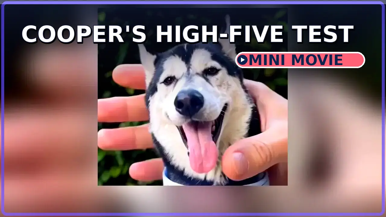 Cooper mini movie high-five moment