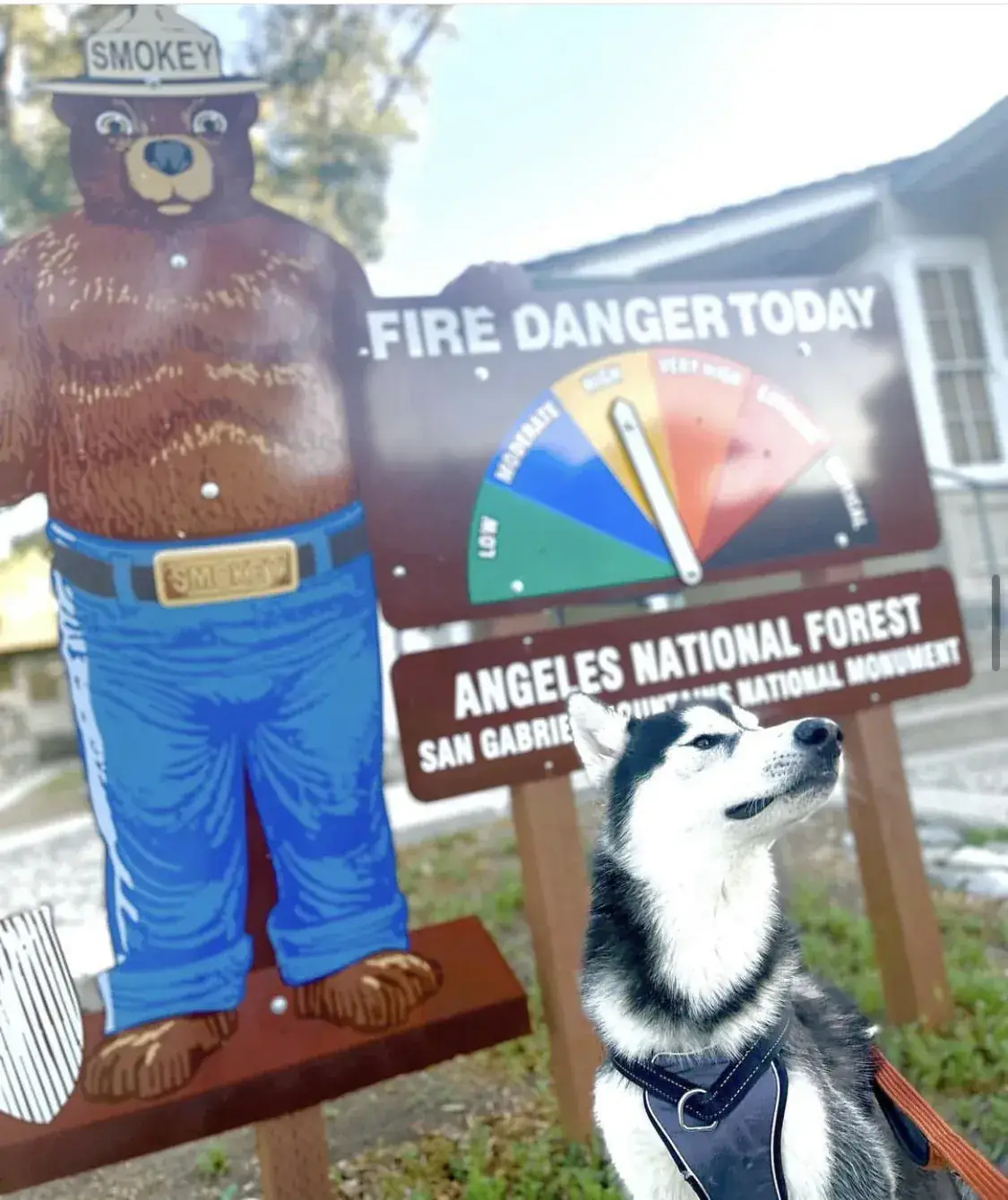 Cooper sitting near the Smokey fire danger sign in Angeles National Forest.